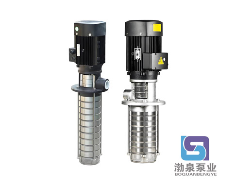 CDLK2-60/6|不銹鋼浸入式多級泵